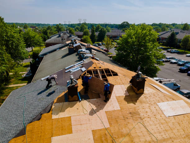 Best Roof Repair Services  in Fort Washakie, WY